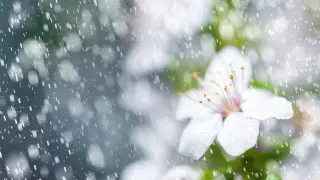 Qazaqstan boıynsha aýa raıy ózgeredi: seısenbi, 14 sáýirge arnalǵan boljam