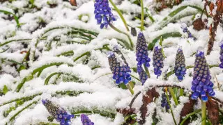 Резкое похолодание в Казахстане: до -18 градусов и снег в апреле