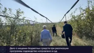 Shymkenttegi alma baqtaryna qatysty iri qylmystyq is sotqa jetti