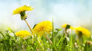 Maı 2026 v Kazahstane: ot anomalnoı jary do zamorozkov