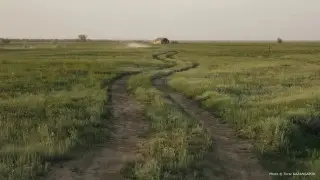 Шымкентте 1,7 миллиард теңге желге ұшпақ болды: Елді мекенсіз жерге инфрақұрылым тарту жоспарланған