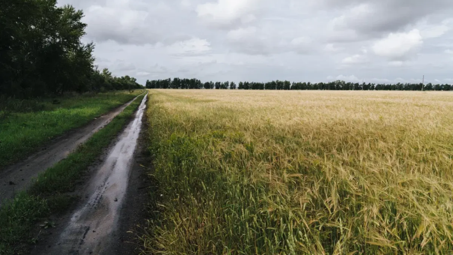 Как казахстанцам получить бесплатные 10 соток земли: подробное руководство