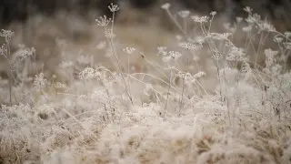 Қазақстанның бірнеше өңірінде тұман мен көктемгі аяз, дауылды ескерту жарияланды