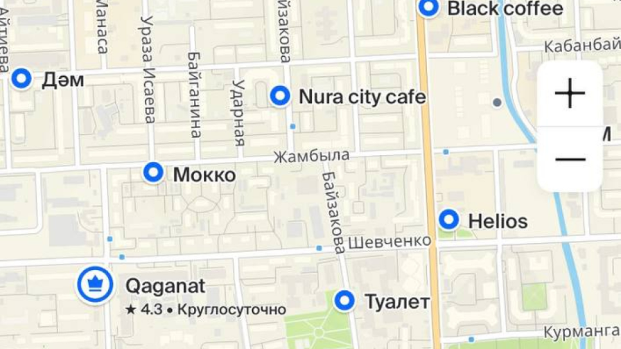 Алматыдағы қоғамдық дәретханалар: бюджеттен 355 миллион теңге қайда кетті?