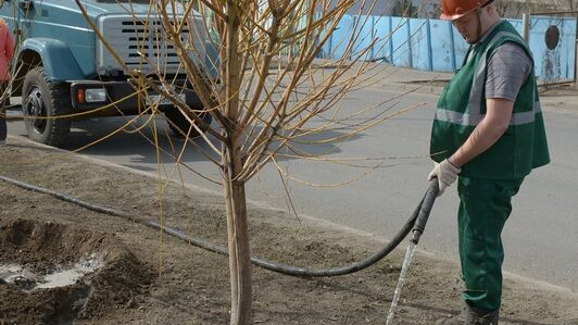 Павлодар столкнулся с проблемой: питьевая вода для полива под запретом, а технической нет