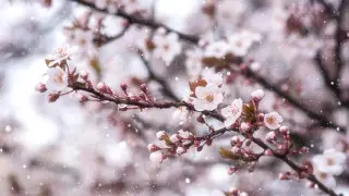 Қазақстанға қар мен аяз қайта оралады