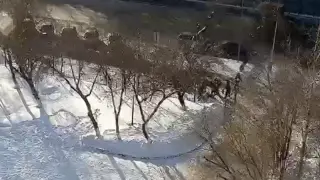 Astanadaǵy mektep oqýshylary arasyndaǵy janjal qatygez soqqyǵa ulasty: bala qanǵa boıalyp jatty