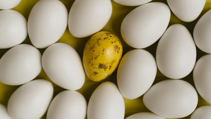 Jenshına, oskorbıvshaıa ýchastnıkov Jeltoksana, ývolena ız kompanıı