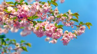 Astana men Almatydaǵy aýa raıy: Sınoptıkter boljamdy naqtylady