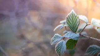 Kazakhstan Braces for Thunderstorms, Hail, and Strong Winds