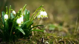 Қазақстанды суық пен нөсер жауын басады