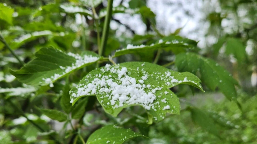 Kazakhstan Weather Alert: Northern Regions Brace for Thunderstorms and Hail on May 13