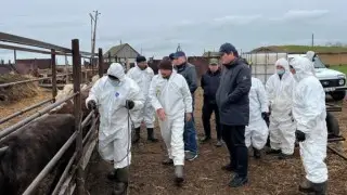 Ветеринар ескертті: Қазақстандағы мал иелеріне індет қаупі төніп тұр