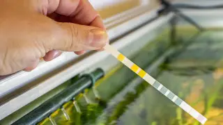 Елімізде есірткі қолданушыларды анықтаудың жаңа әдісі іске қосылды