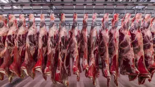 Kazakhstan Ready to Export Halal Meat to Turkey, Boosting Agricultural Ties