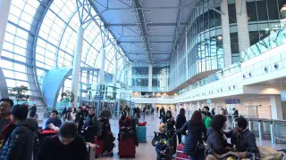 Kazakhstan Spent $4 Million Evacuating Citizens from Middle East