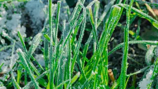 Kazakhstan Weather Alert: Frost in Astana, Thunderstorms in Almaty This Week