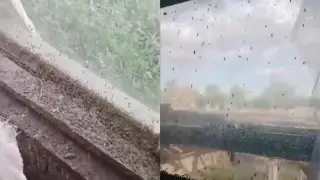 40-Degree Heat Forces Kazakh Villagers to Wear Winter Clothes Amidst Mosquito Swarms